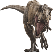 Tyrannosaurus Rex JW Charge