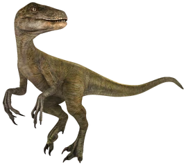 Velociraptor JWA