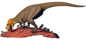 Ceratosaurus