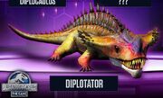 Diplotator.jpg