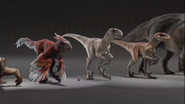 Pyroraptor walk cycle