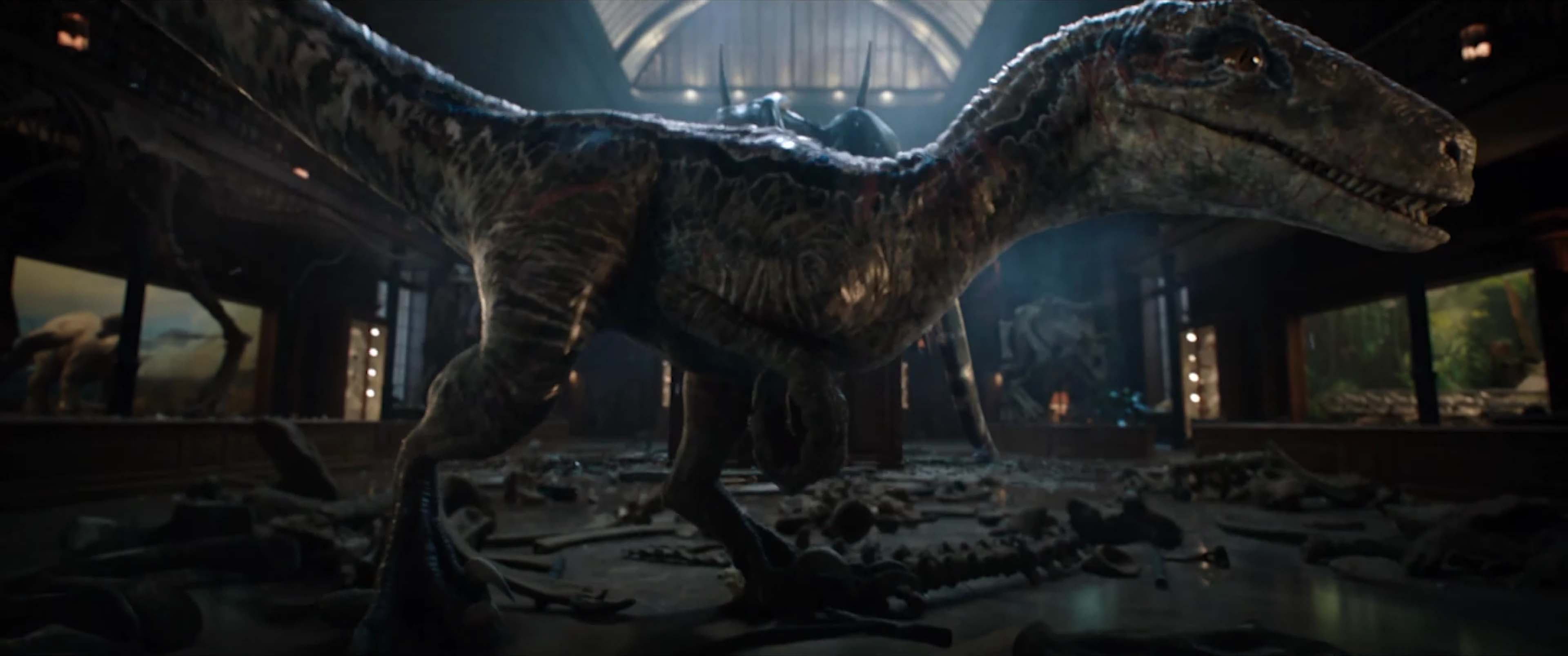 blue raptor blue raptor