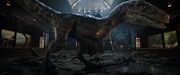 Jurassic world fallen kingdom blue 5 by giuseppedirosso-dcmb6ad