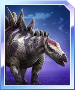 Stegosaurus ungulatus card