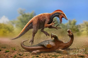 Australovenator-and-diamantinasaurus-mohamad-haghani