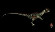 Dilophosaurus model used in Jurassic Park: The Game