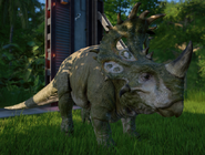 JWESinoceratops