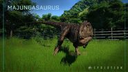 Jwe majungasaurus