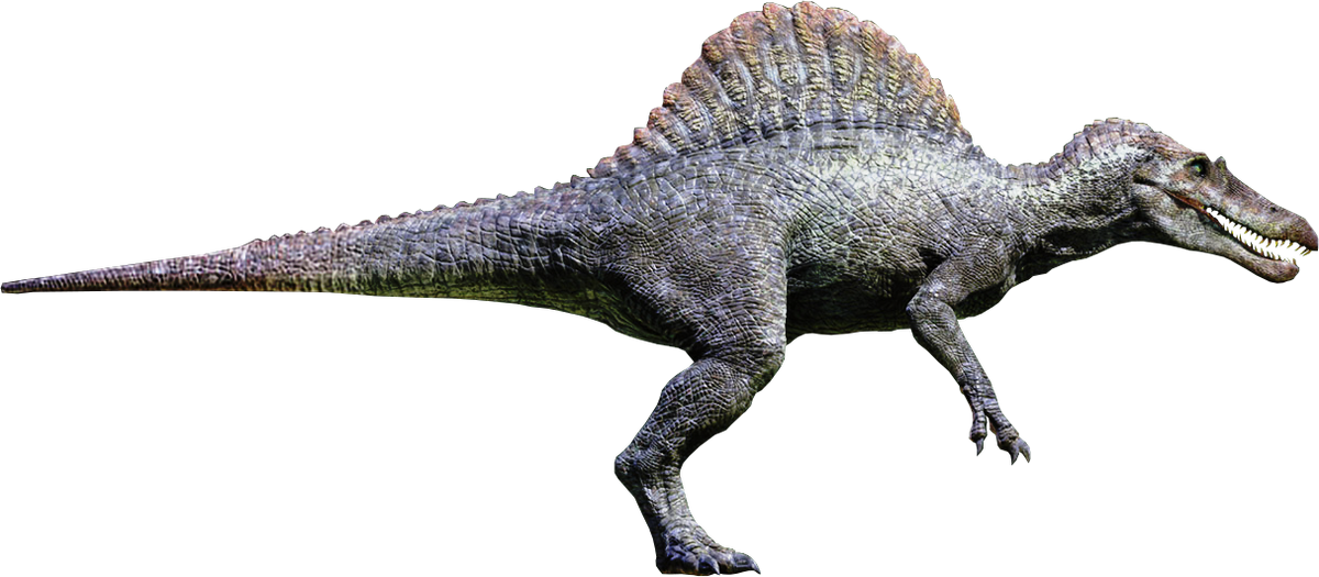 Spinosaurus Wikia Jurassic Park Fandom