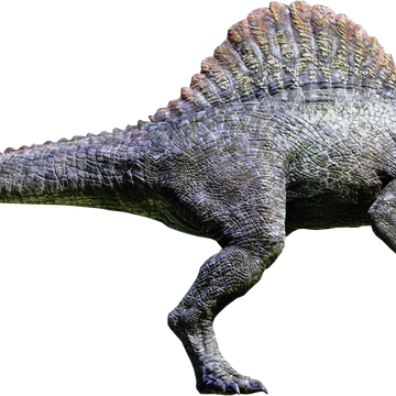 Spinosaurus Jurassic Park Wiki Fandom - isla sorna roblox wiki