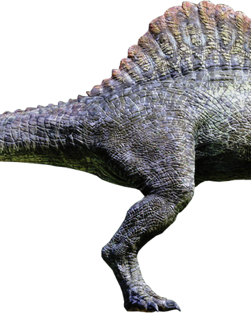 Il8yqc Mshneym Su nombre significa «lagarto de espina» y pertenece a la familia de los spinosaurinae, dentro de la superfamilia de los spinosauridae. https jurassicpark fandom com es wiki spinosaurus