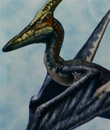 Pteranodonwmplayer2006041418410084small4.png (414 kB)