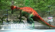 Level 21-30 Corythosaur
