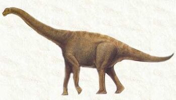 Abrosaurus