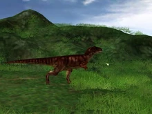 Allosaurus1-1-