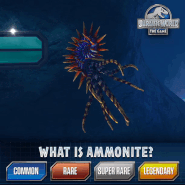 Ammonite (21).gif (5.38 MB)