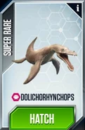 Dolichorhynchops-0.jpg (23 kB)
