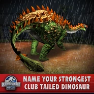 Опрос с "Facebook"