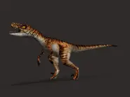 Velociraptor