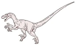 Рапторкрайтона