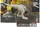 Xuanhanosaurus (Mattel)
