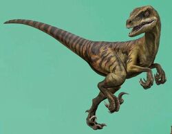 Velociraptor 'Echo' from Jurassic World.  Jurassic park world, Jurassic  world, Jurassic world dinosaurs