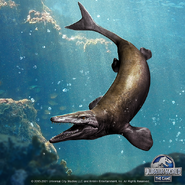 Platecarpus v.png (706 kB)