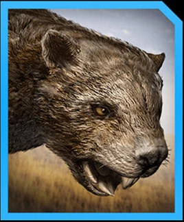 ティラコレオ top