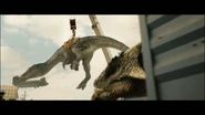 Baryonyx and Anky 2.png (813 KB)