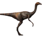 Gallimimus