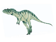 Gorgosaurus