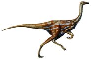 Ornithomimus-dinosaur 9588