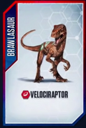 Velociraptor.PNG