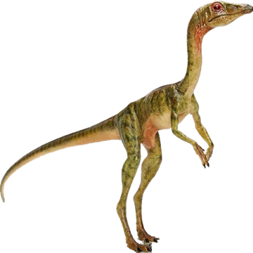 Compsognathus Jurassic Park Wiki Fandom Compsognathus Jurassic Park Wiki Fandom