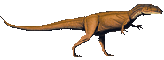 Allosaurus-jimmadseni