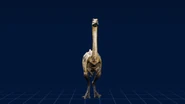 ArchaeornithomimusWebsite.png (60 KB)