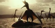 Quetzalcoatlus (debut)