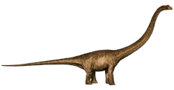 Mamenchisaurus | Jurassic Park Wiki | Fandom