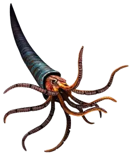 Jw Baculites-removebg-preview