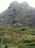 Mountain Range of Tyrannosaur Paddock