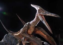 Pterosaur, Jurassic Park Wiki