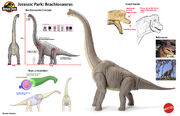 Brachiosaurus.jpg