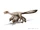 Microraptor