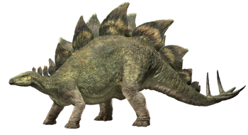 Stegosaurus (2)