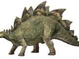 Stegosaurus