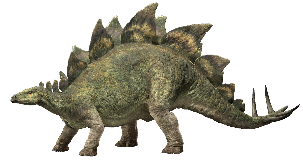 Stegosaurus | Wikia Jurassic Park | Fandom