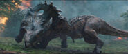 Carno vs sino 3