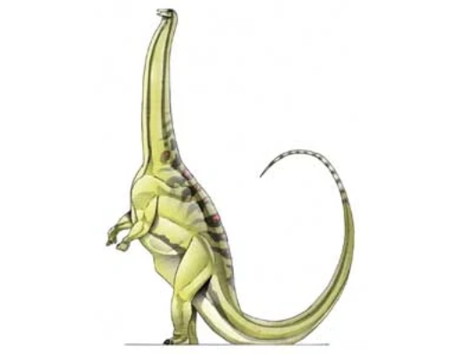 Dimorphodon, Jurassic Park Wiki