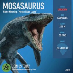 Mosasaurus (Mosasaure) : fiche de ce reptile marin