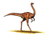 Ornithomimus